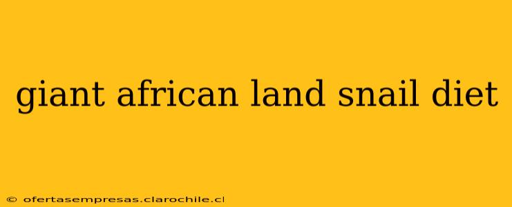 giant african land snail diet