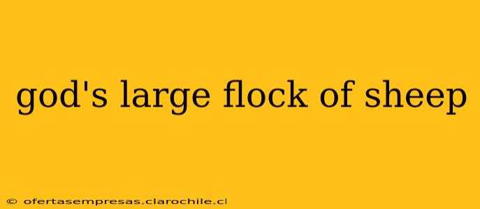 god's large flock of sheep