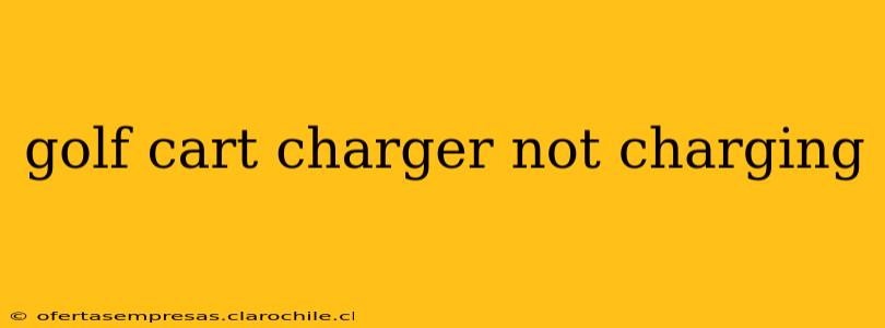golf cart charger not charging