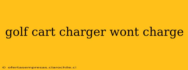 golf cart charger wont charge