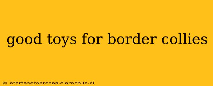 good toys for border collies