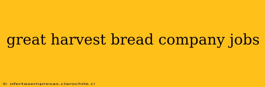 great harvest bread company jobs