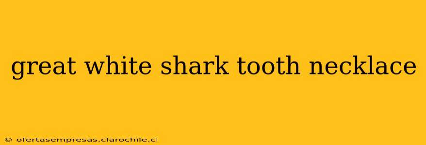 great white shark tooth necklace
