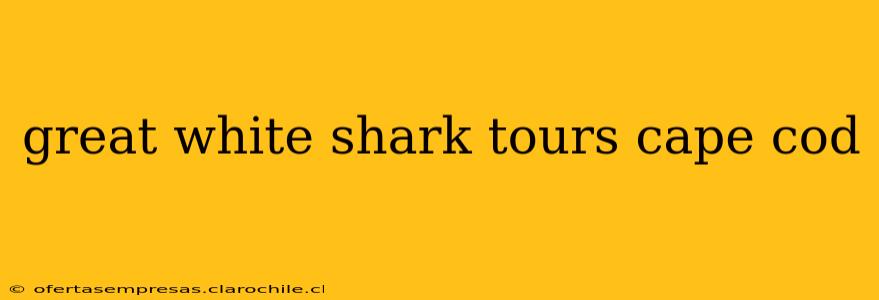 great white shark tours cape cod