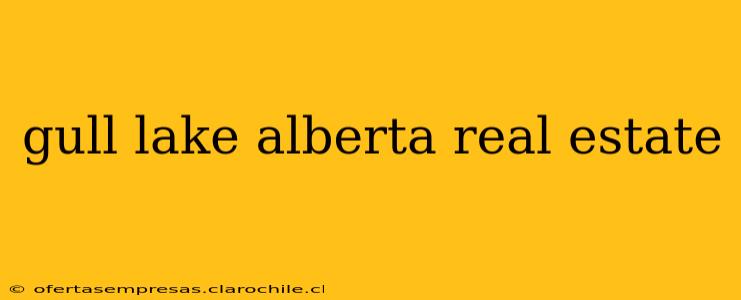 gull lake alberta real estate