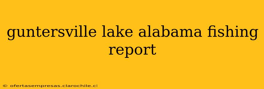 guntersville lake alabama fishing report