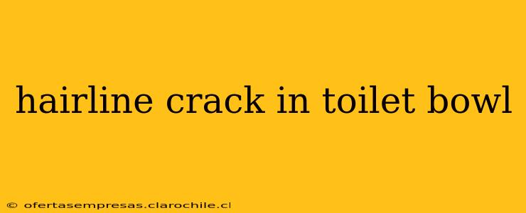 hairline crack in toilet bowl