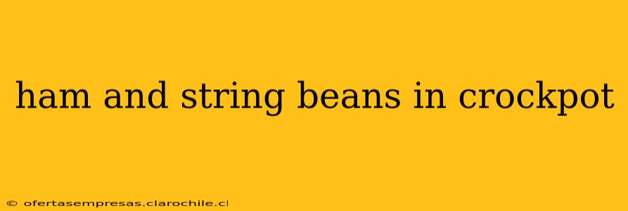 ham and string beans in crockpot