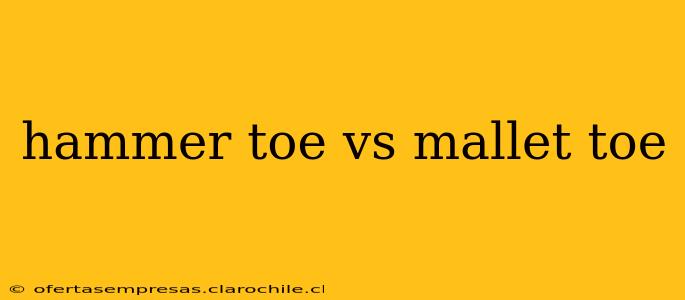 hammer toe vs mallet toe