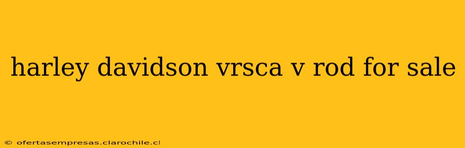 harley davidson vrsca v rod for sale