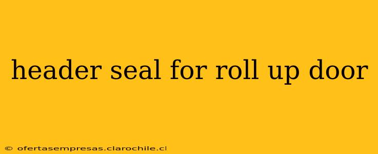 header seal for roll up door
