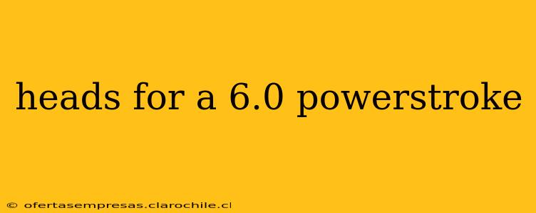 heads for a 6.0 powerstroke