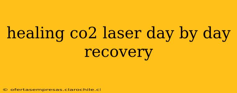 healing co2 laser day by day recovery