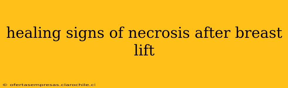 healing signs of necrosis after breast lift