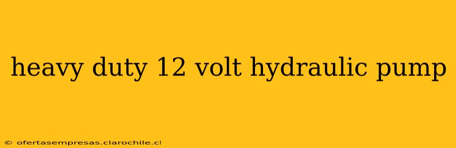 heavy duty 12 volt hydraulic pump
