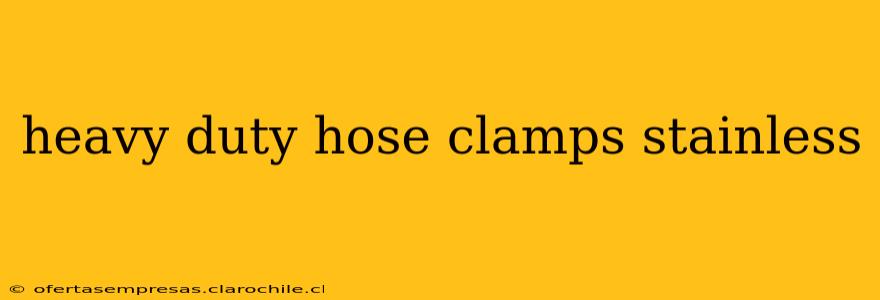 heavy duty hose clamps stainless
