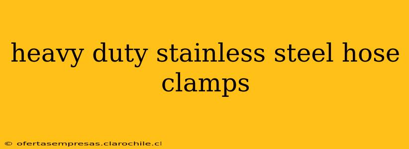 heavy duty stainless steel hose clamps