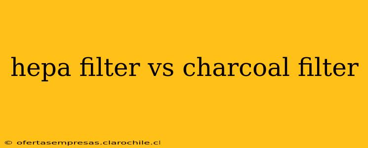 hepa filter vs charcoal filter