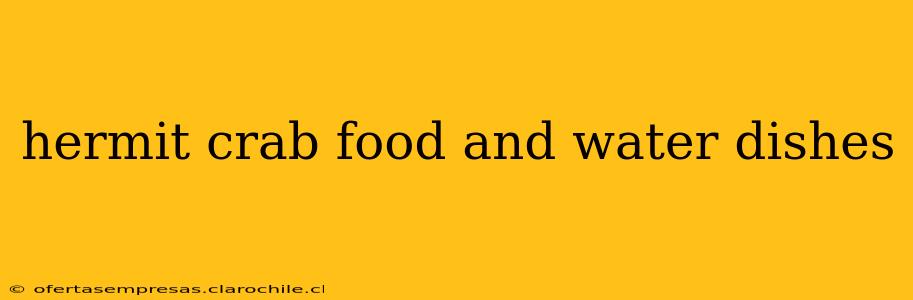 hermit crab food and water dishes