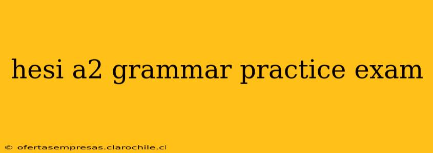 hesi a2 grammar practice exam