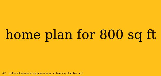 home plan for 800 sq ft