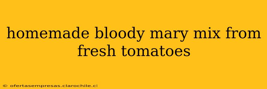 homemade bloody mary mix from fresh tomatoes