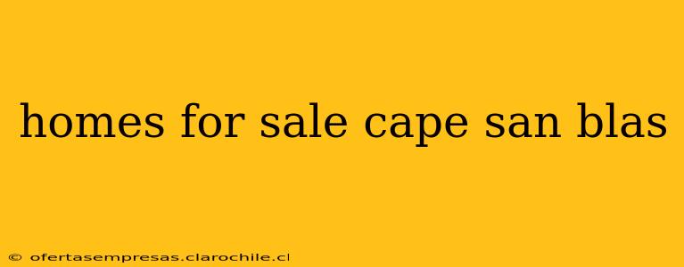 homes for sale cape san blas
