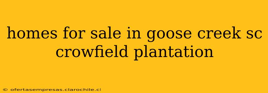 homes for sale in goose creek sc crowfield plantation