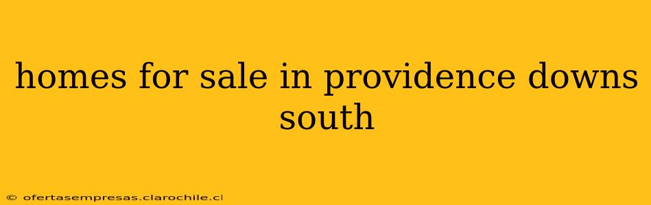 homes for sale in providence downs south