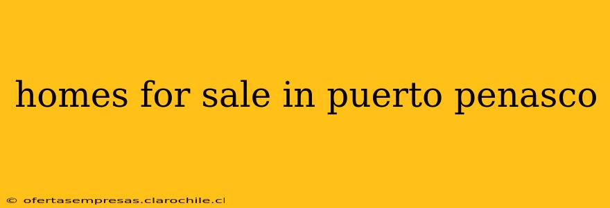 homes for sale in puerto penasco