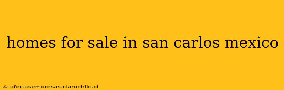 homes for sale in san carlos mexico
