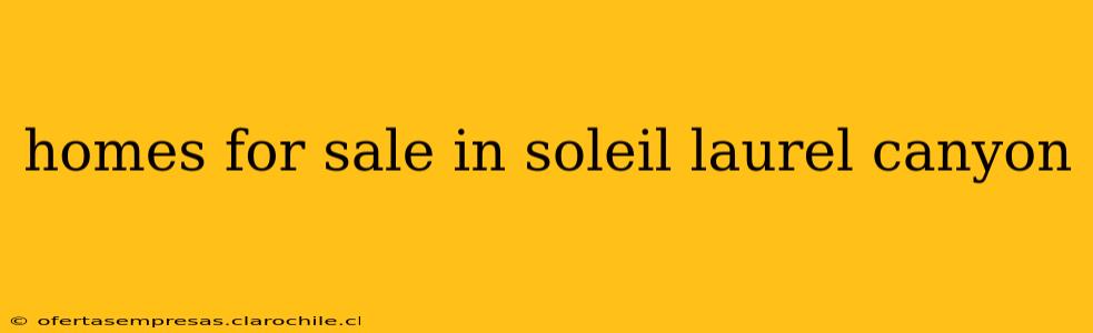 homes for sale in soleil laurel canyon