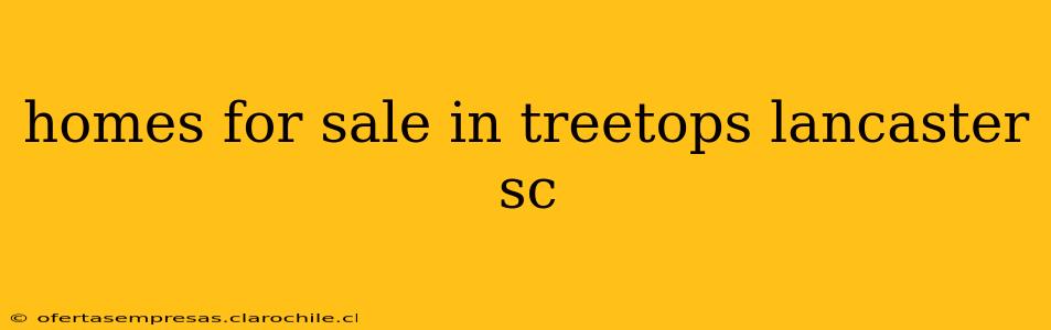 homes for sale in treetops lancaster sc