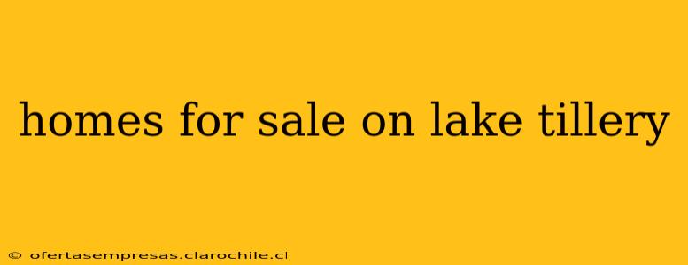 homes for sale on lake tillery