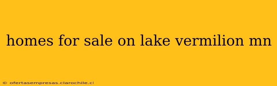 homes for sale on lake vermilion mn