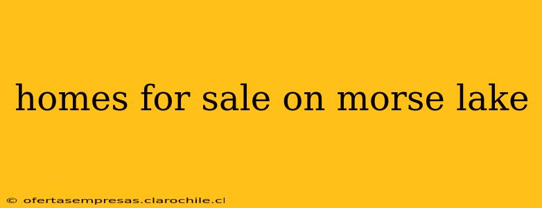 homes for sale on morse lake