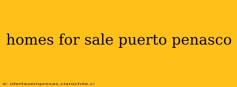 homes for sale puerto penasco