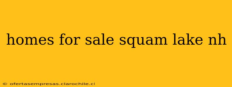 homes for sale squam lake nh