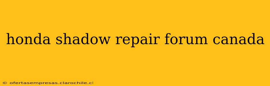 honda shadow repair forum canada