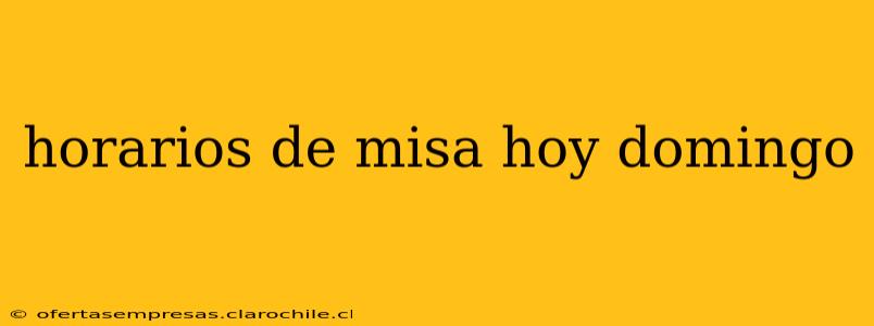 horarios de misa hoy domingo