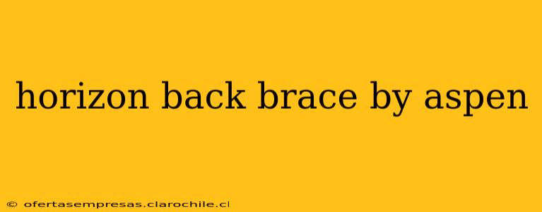 horizon back brace by aspen