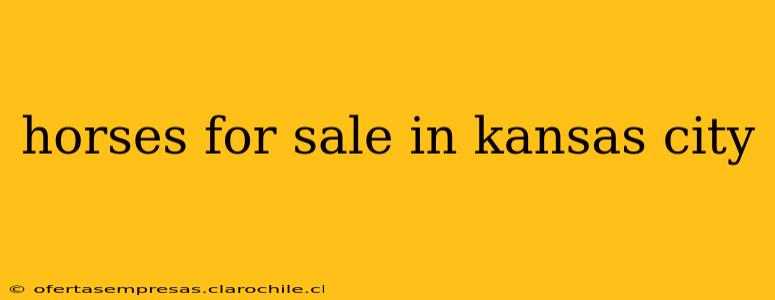 horses for sale in kansas city