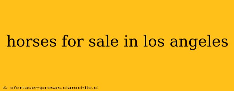 horses for sale in los angeles