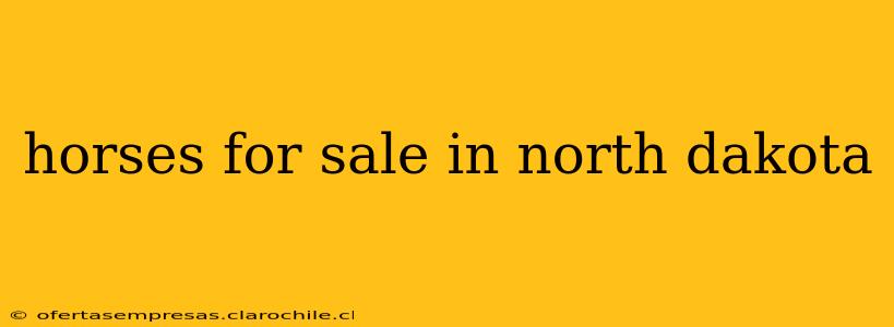horses for sale in north dakota