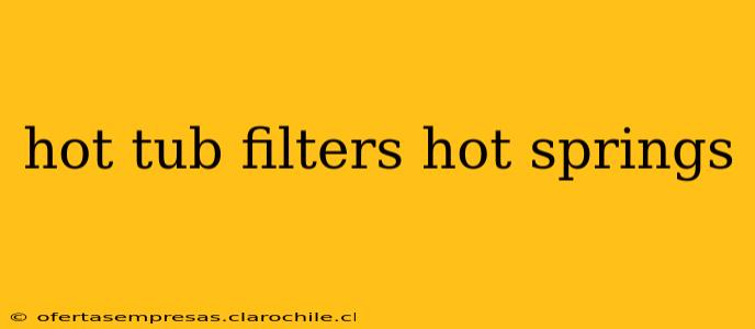 hot tub filters hot springs