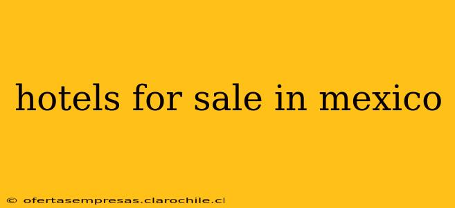 hotels for sale in mexico