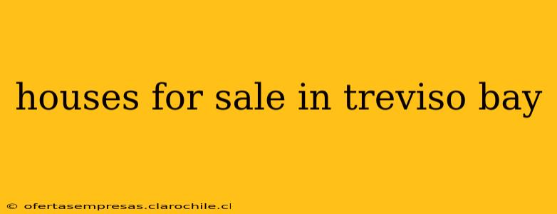 houses for sale in treviso bay