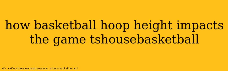 how basketball hoop height impacts the game tshousebasketball