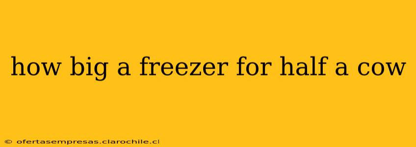 how big a freezer for half a cow