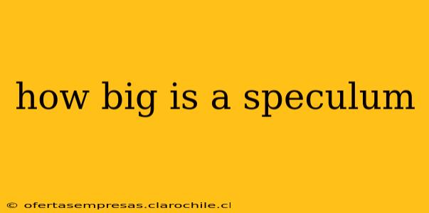 how big is a speculum
